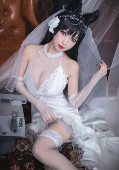 过招电视剧在线观看全集免费高清