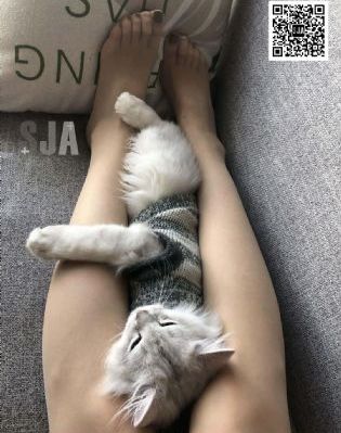 韩剧太太的告白免费播放