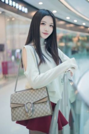 我爱我家全集