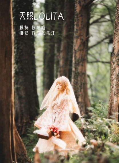 花蝴蝶免费版大全多少集经典